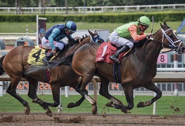 足球投注亞洲讓球盤完全攻略｜半球、一球、球半是什麼意思？讓分盤判讀與實戰技巧