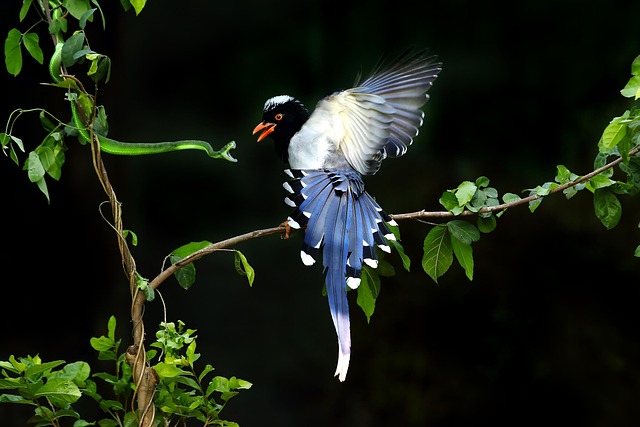 用「最小後悔」做博奕決策｜不求最佳結果，只求不管發生什麼你都「不會太後悔」